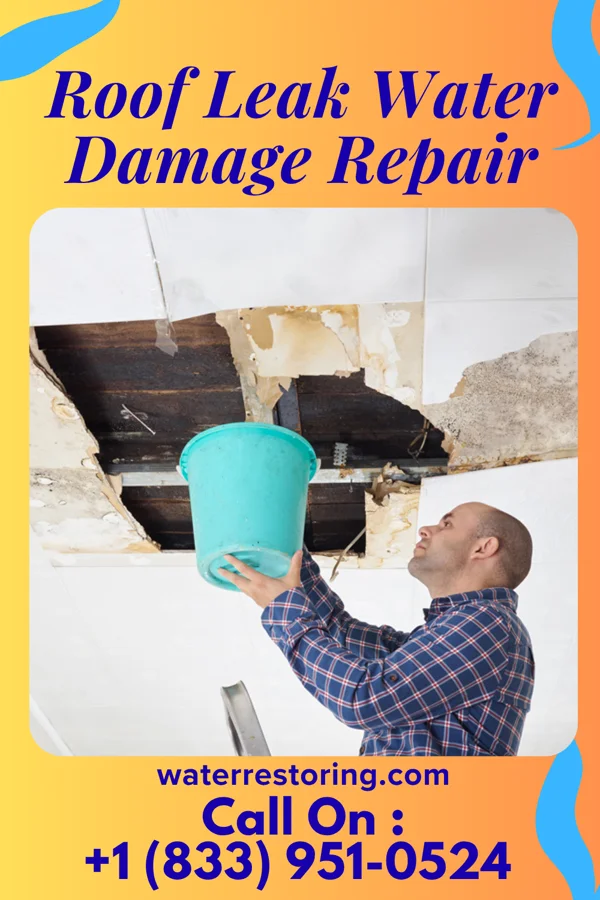 Roof Leak Water Damage Repair in Dotsero, CO